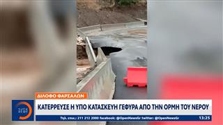 Θεσσαλία: Μεγάλες καταστροφές σε εκτάσεις με αμπέλια και βαμβάκι