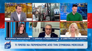 Τι πρέπει να περιμένουμε από τη συμφωνία Mercosur