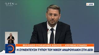 Νίκος Ανδρουλάκης: «Καταδικάζουμε το Ισράηλ και τον Νετανιάχου για τα εγκλήματα πολέμου»