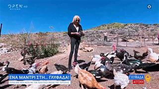 Η Μάγδα Τσέγκου μας μαθαίνει ένα Μαντρί...στη Γλυφάδα!