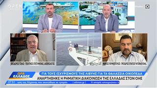 Αναρτήθηκε η ρηματική διακοίνωση της Ελλάδας στον ΟΗΕ