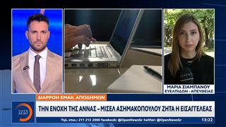 Άννα-Μισέλ Ασημακοπούλου: Διαρροή email αποδήμων