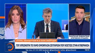 «Πυρά» βουλευτών της Ν.Δ κατά Σκέρτσου