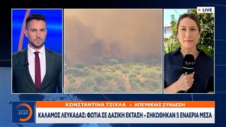 Συναγερμός στην Πυροσβεστική για τη φωτιά στον Κάλαμο Λευκάδας