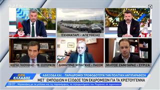 Πολιτική αντιπαράθεση Γκιουλέκα, Μπιαγκή και Ζαμπάρα για τα αγροτικά μπλόκα