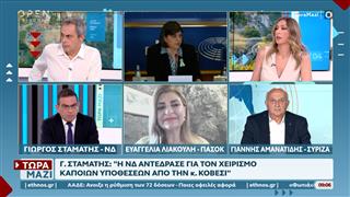 Γ.Αμανατίδης: «Είναι η κυβέρνηση των συγκαλύψεων»