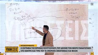 Ντοκουμέντο: Η ζωγραφιά της Ειρήνης Μουρτζούκου πριν τον θάνατο του Παναγιωτάκη