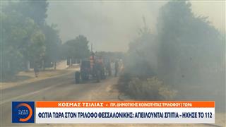 Ο πρόεδρος δημοτικής κοινότητας Τριλόφου για τις φωτιές στη Θεσσαλονίκη