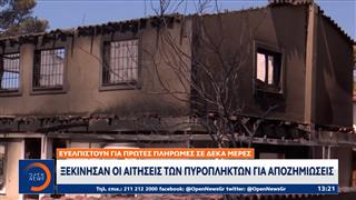 Ξεκίνησαν οι αιτήσεις των πυρόπληκτων για αποζημιώσεις