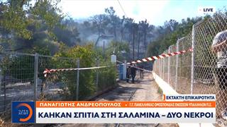Σαλαμίνα: Το ηλικιωμένο ζευγάρι εγκλωβίστηκε στο σπίτι του και δεν τα κατάφερε