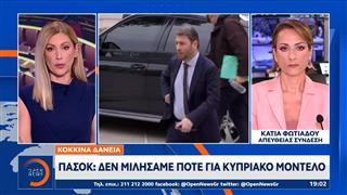 ΠΑΣΟΚ για «κόκκινα» δάνεια: Δεν μιλήσαμε ποτέ στο κυπριακό μοντέλο