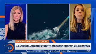 Δικά της θαλάσσια πάρκα χαράσσει στο βόρειο και νότιο Αιγαίο η Τουρκία