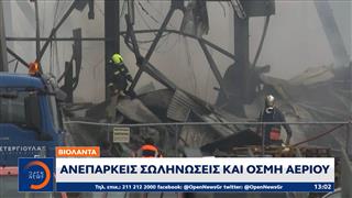 Βιολάντα: Προσωρινή κράτηση για τον ιδιοκτήτη μετά τη μετατροπή σε κακούργημα