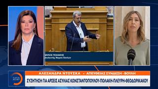 Συζητήσεις για άρσεις ασυλίας Πολάκη - Πλεύρη - Θεοδωρικάκου - Κωνσταντοπούλου