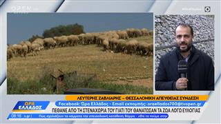 Πέθανε από τη στεναχώρια του γιατί του θανάτωσαν τα ζώα του λόγω ευλογιάς