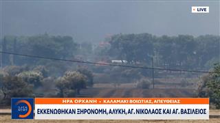 Φωτιά στη Βοιωτία: Δύσκολη η αντιμετώπιση της φωτιάς λόγω των ανέμων»