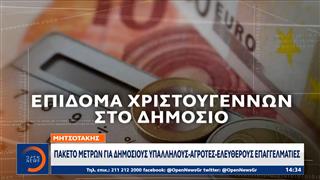 Κυριάκος Μητσοτάκης: Πακέτο μέτρων για δημοσίους υπαλλήλους - αγρότες - ελεύθερους επαγγελματίες