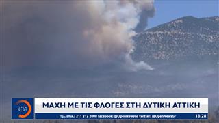 Κατεβαίνουν οι φλόγες στον Κυθαιρώνα