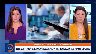 Ιός Δυτικού Νείλου: Αυξάνονται ραγδαία τα κρούσματα