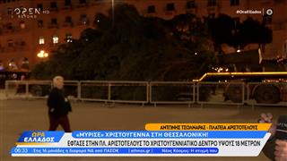 Θεσσαλονίκη: Στολίζουν το χριστουγεννιάτικο δέντρο στην Αριστοτέλους