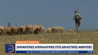 Σκάνδαλο ΟΠΕΚΕΠΕ: Σημαντικές αποκαλύψεις στις δικαστικές αίθουσες