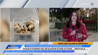 12 Τόνους ακατάλληλων προιόντων κατασχέθηκαν