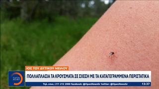 Ιός δυτικού Νείλου: Πολλαπλάσια τα κρούσματα σε σχέση με τα καταγεγραμμένα περιστατικά