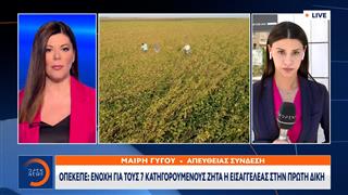 ΟΠΕΚΕΠΕ: Ένοχη για τους 7 κατηγορούμενους ζητά η εισαγγελέας στην πρώτη δίκη