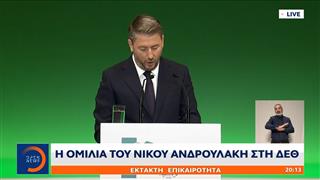Νίκος Ανδρουλάκης: « Τεράστιο εθνικό ζήτημα το δημογραφικό»