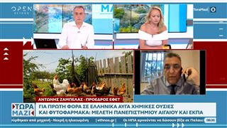 Για πρώτη φορά σε ελληνικά αυγά εντοπίστηκαν χημικές ουσίες