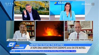 Ε. Λέκκας: Ρίχνουμε στους δήμους τις ευθύνες, αλλά δεν είναι έτσι