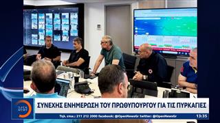Συνεχής ενημέρωση του Πρωθυπουργού για τις πυρκαγιές