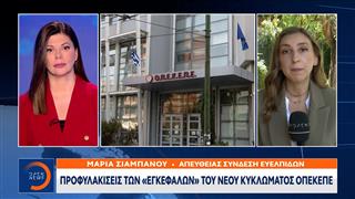 Προφυλακίσεις των «εγκεφάλων» του νέου κυκλώματος ΟΠΕΚΕΠΕ