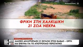 Κτηνωδία στην Χαλκιδική – Δηλητηρίασαν 21 σκυλιά