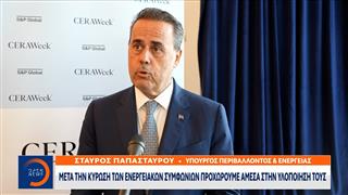 Παπασταύρου: «Μετά την κύρωση των ενεργειακών συμφωνιών προχωρούμε άμεσα στην υλοποίησή τους»