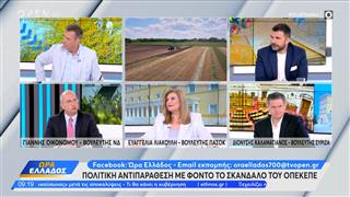 Πολιτική αντιπαράθεση: Οικονόμου, Λιακούλη και Καλαματιανός