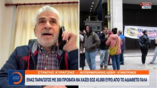 Λέσβος-Κτηνοτρόφοι: Άκαρπη η συνάντηση στο υπουργείο Αγροτικής Ανάπτυξης