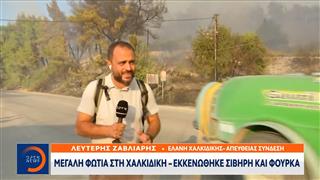 Μεγάλη φωτιά στην Χαλκιδική - Τιτάνια μάχη να μην περάσουν οι φλόγες στο δάσος της Ελάνης