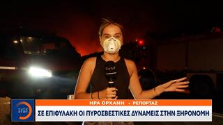 Πύρινη κόλαση την νύχτα στην Βοιωτία