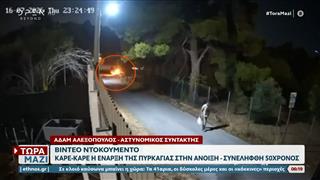 Έξι συλλήψεις για εμπρησμό σε Μεσσηνία, Αττίκη και Ηράκλειο