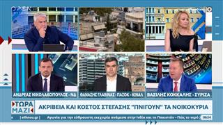Πολιτική αντιπαράθεση Νικολακόπουλου, Γλαβίνα, Κόκκαλη