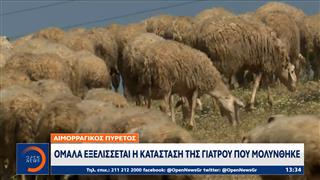 Αιμορραγικός πυρετός: Ομαλά εξελίσσεται η κατάσταση της Γιατρού που μολύνθηκε
