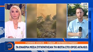 Φωτιά στο όρος Αιγάλεω - Μάχη για να μην φτάσει στο ψυχιατρικό νοσοκομείο