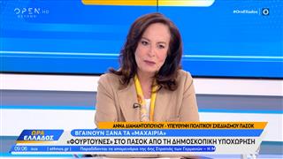 Άννα Διαμαντοπούλου: «Στο ΠΑΣΟΚ δεν γίνεται απολογισμός έργου όπως θα έπρεπε»