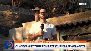 Οι κόποι μιας ζωής έγιναν στάχτη σε λίγα λεπτά στην Σαλαμίνα