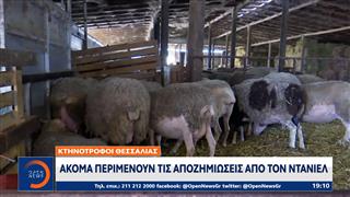 Σε απόγνωση αγρότες και κτηνοτρόφοι στη Δυτική Μακεδονία