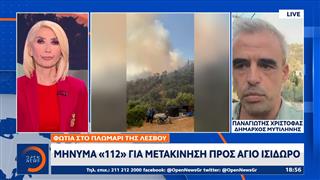 Φωτιά στο Πλωμάρι της Λέσβου - Δύο τα μέτωπα της φωτιάς