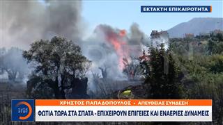 Έκτακτη επικαιρότητα: Φωτιά στα Σπάτα - Επιχειρούν επίγιεις και εναέριες δυνάμεις