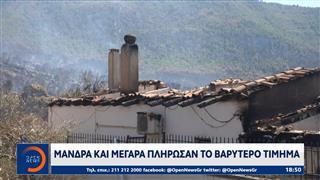 Βοιωτία: Προφυλακίστηκαν 3 κατηγορούμενοι για τη φωτιά