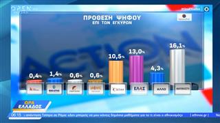 Δημοσκόπηση Opinion: Τι θα μετρήσει περισσότερο στην τελική ψήφο;